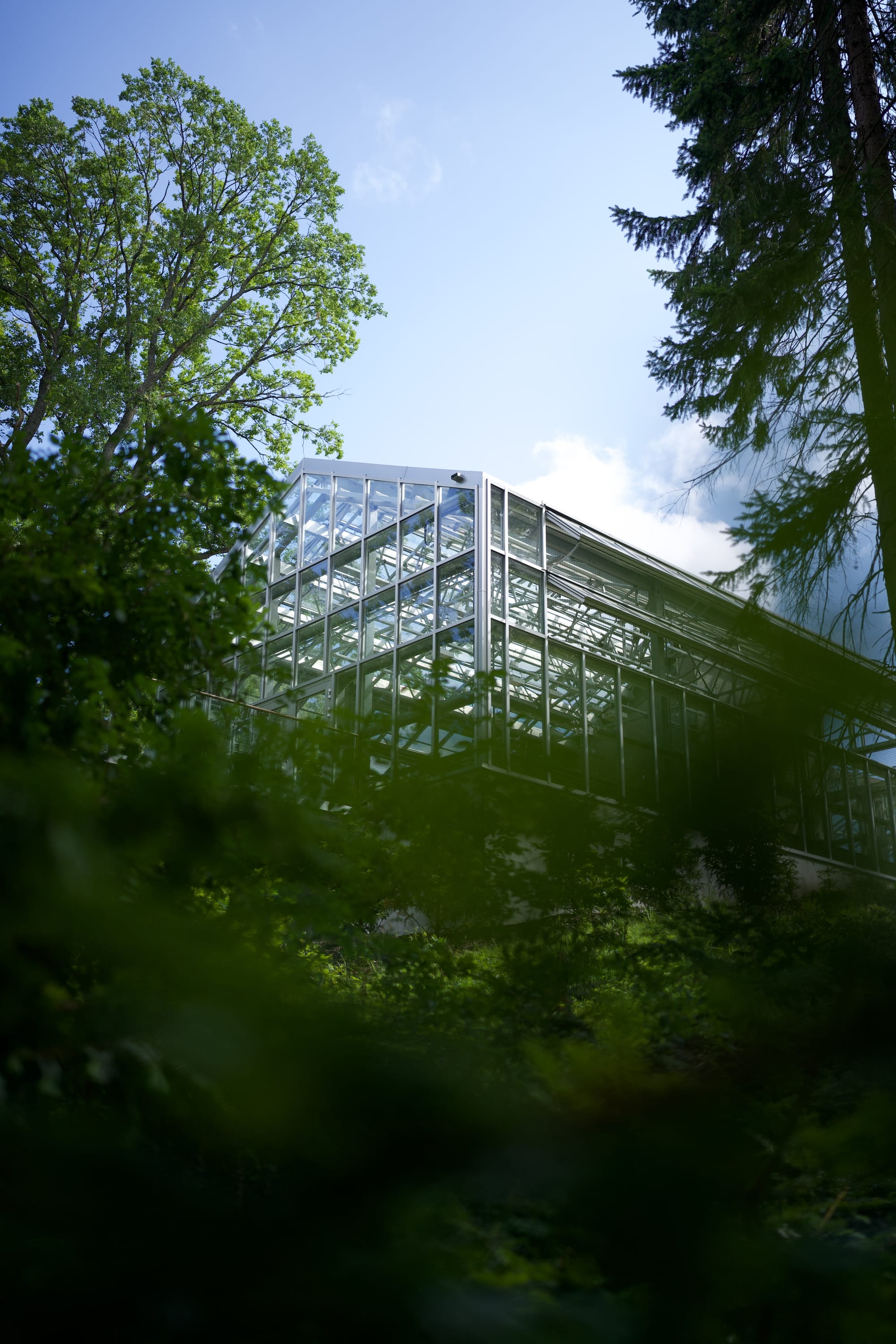 Greenhouse on the top of a hill in Gothenburg Botanical Garden.