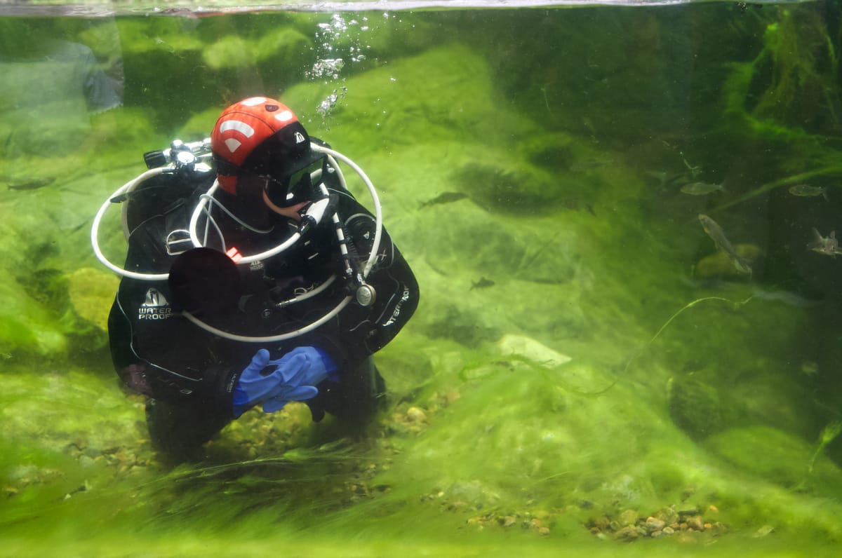 Diver in a huge aquarium tank inside of Universeum.